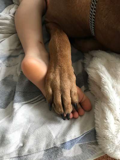 Blick fürs Detail!-Beitrag-Bild