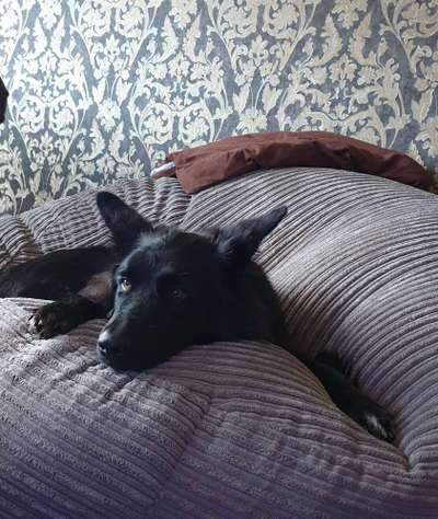 Schlafzeit!💖-Beitrag-Bild