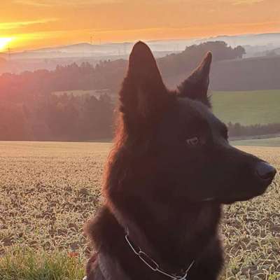 Fotochallange Nr. 57     PORTRÄT.   Beendet!!!!!!!!-Beitrag-Bild