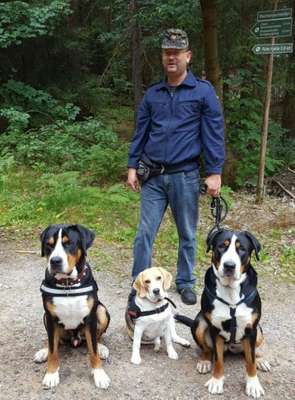 Hundetreffen-Hundewanderung Erzgebirge