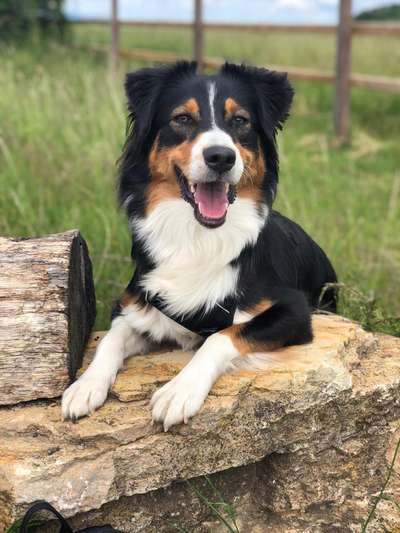 Lieblingsbild-Beitrag-Bild