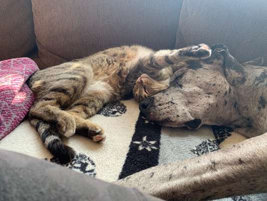 Challenge 30  Freundschaft-Beitrag-Bild