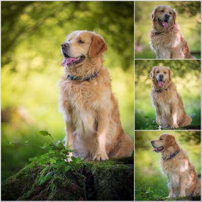 Austausch zur Fotografie-Beitrag-Bild