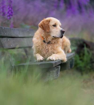 Austausch zur Fotografie-Beitrag-Bild