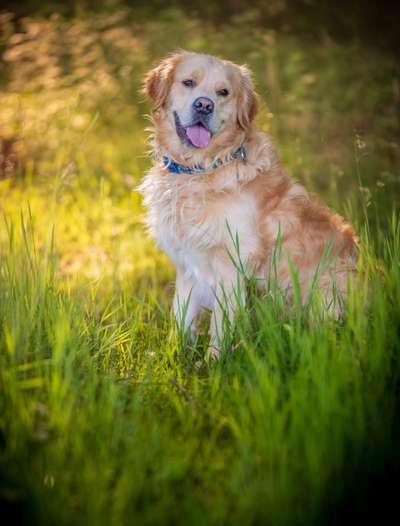 Austausch zur Fotografie-Beitrag-Bild