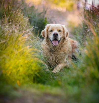 Austausch zur Fotografie-Beitrag-Bild
