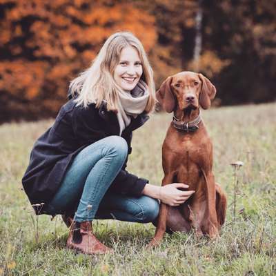 Hundetreffen-Hundefreund für gemeinsame, kontrollierte Spaziergänge gesucht-Profilbild