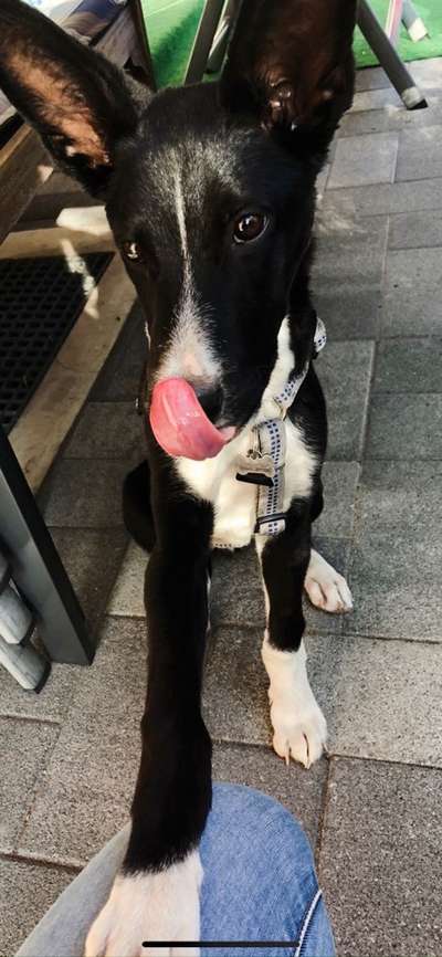 Fotochallenge 108: Starkes Team-Beitrag-Bild