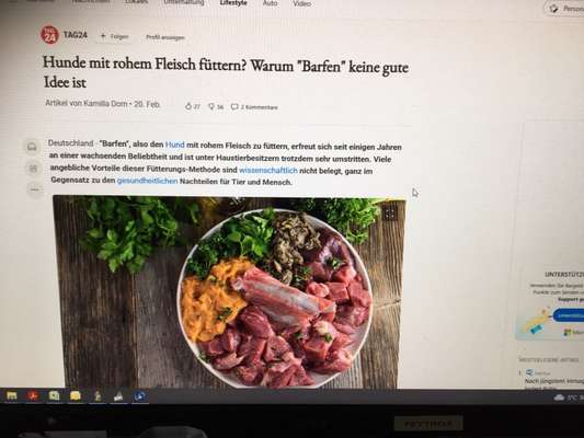 Barfen, wie macht ihr es?-Beitrag-Bild