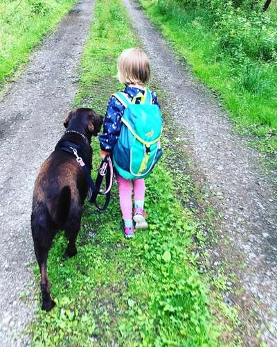 Kinder und Hunde auf dem Weg zum Dreamteam-Beitrag-Bild