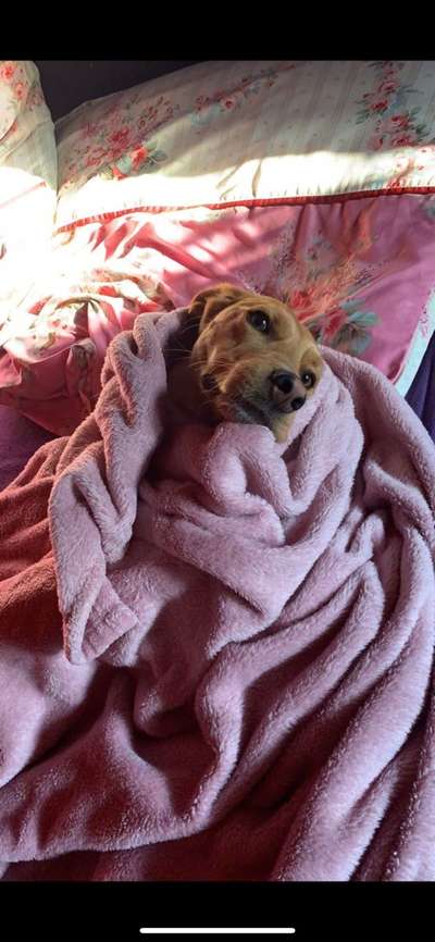 Lieblingsbild-Beitrag-Bild