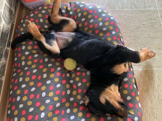 Die unbequemsten und lustigsten Schlafpositionen-Beitrag-Bild