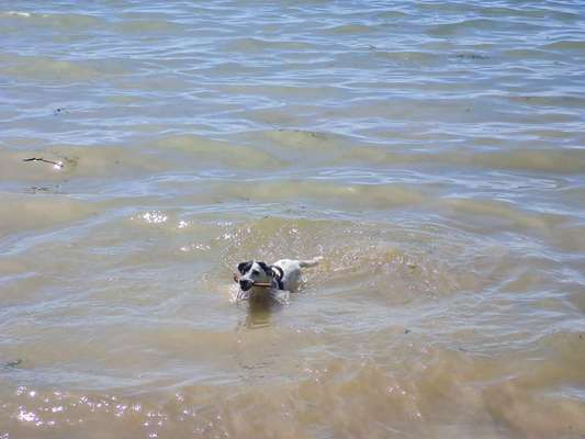 Badeplätze in Fürth und näherer Umgebung-Beitrag-Bild