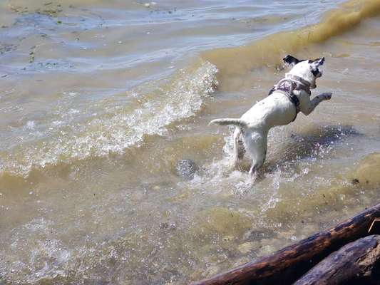 Badeplätze in Fürth und näherer Umgebung-Beitrag-Bild