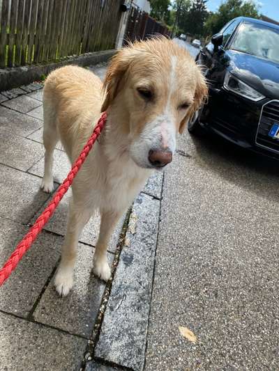 Hier ist der Spaßthread. Zum Schmunzeln und Kaputtlachen-Beitrag-Bild