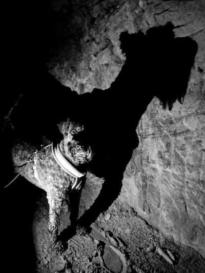 Foto-Challenge 76: Foto in Schwarz-Weiss-Beitrag-Bild