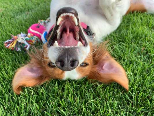 Lustige Grimassen & verrückte Posen-Beitrag-Bild