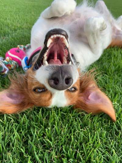 Lustige Grimassen & verrückte Posen-Beitrag-Bild