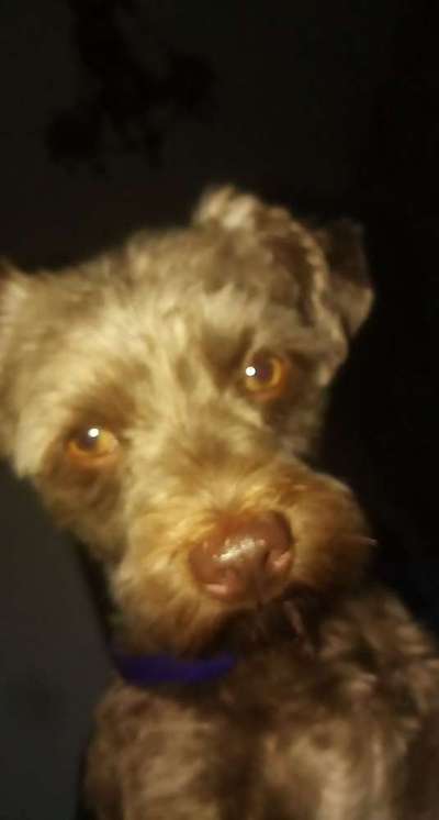 Un...scharf Bilder-Beitrag-Bild