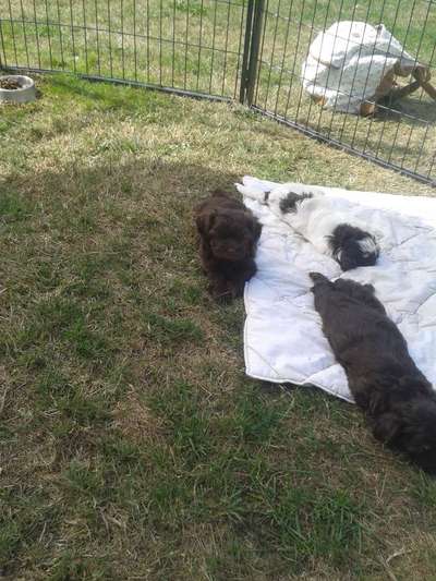 Erstes Bild-Beitrag-Bild