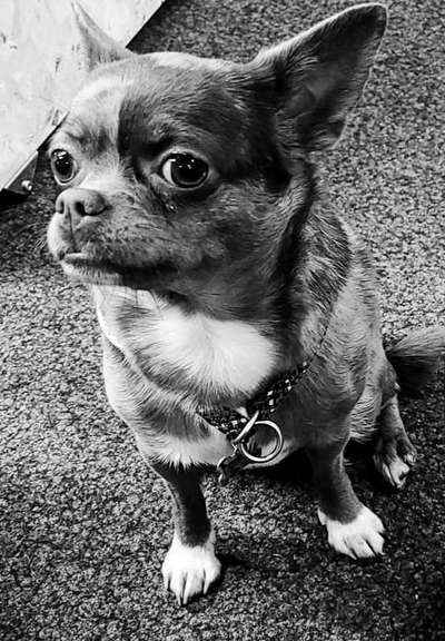 Foto-Challenge 76: Foto in Schwarz-Weiss-Beitrag-Bild