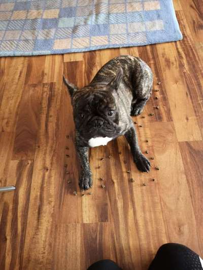 Tatort Challenge
Wer macht mit und schafft es?-Beitrag-Bild