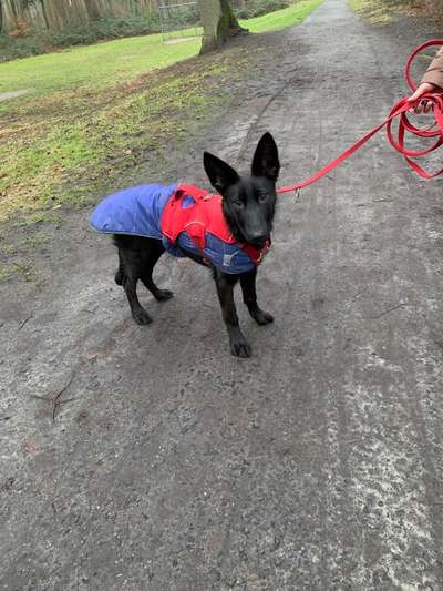 Erstes Bild-Beitrag-Bild