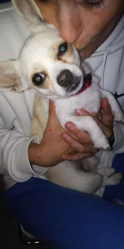 Gesundheitscheck-Beitrag-Bild