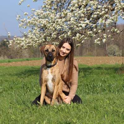 Hundetreffen-Nette Gassirunde