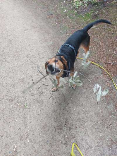 Fotochallange 84-Beitrag-Bild