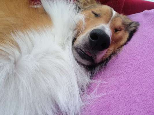 Fotochallange Nr. 6 Die irrsten Blicke-Beitrag-Bild