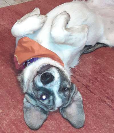 Fotochallange Nr. 57     PORTRÄT.   Beendet!!!!!!!!-Beitrag-Bild