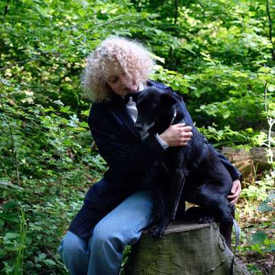 Hundetreffen-Toben, Gassi, Training Nähe Musikexpress