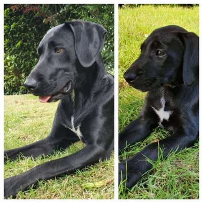 28. Handy-Fotochallenge - Damals und heute-Beitrag-Bild