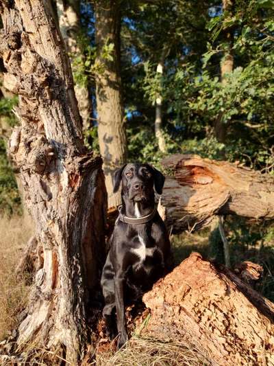 27. Handy Fotochallenge-Beitrag-Bild