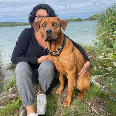 Hundetreffen-Gemeinsame Spaziergänge-Profilbild