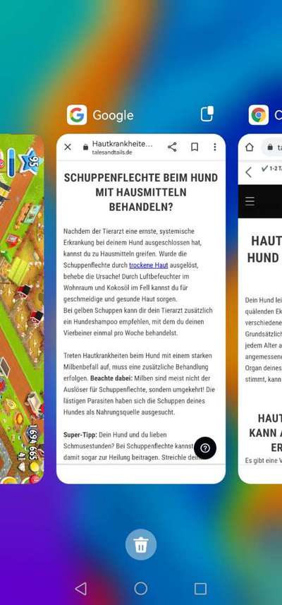 Könnten das Grasmilben sein ?-Beitrag-Bild