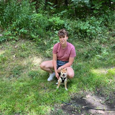 Hundetreffen-Treffen kleinerer Hunde (Gohlis)-Profilbild