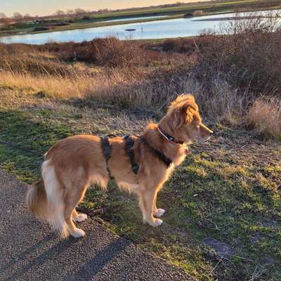 aktuelles Foto Gruppe Körpersprache lesen & verstehen