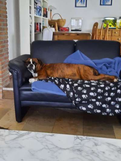 Morgenrunde am Wochenende-Beitrag-Bild