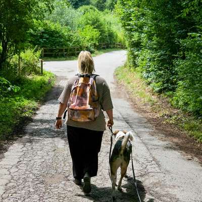 aktuelles Foto Gruppe Instagram, Dogfluencer & UGC