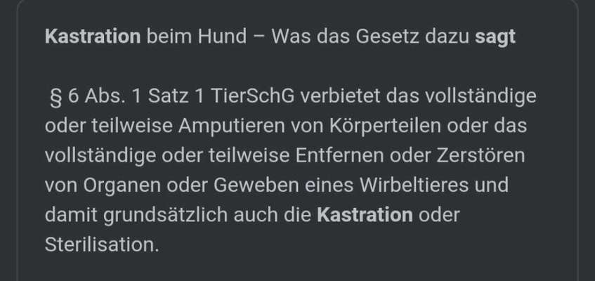 Kastrazion / sterilisation-Beitrag-Bild