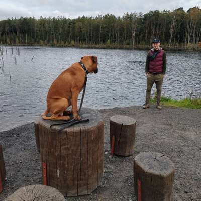 Hundetreffen-Hunderunde /Hunde treffen