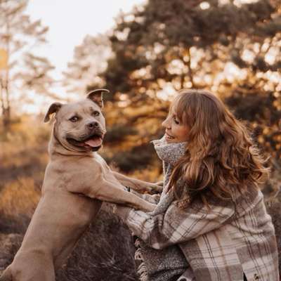 Hundetreffen-Ausflug Lahberg • 29.09. 15uhr • Social Walk