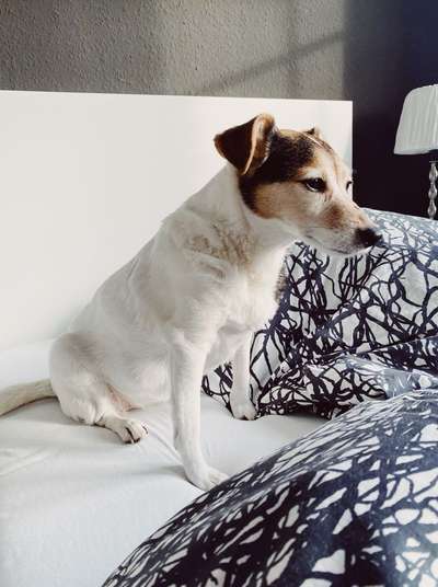 Fotochallenge Nr. 56 - geliebte Senioren-Beitrag-Bild