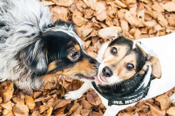 Fotochallenge Nr. 62 Romantische Momente-Beitrag-Bild