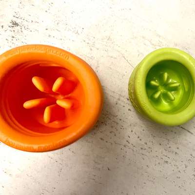 Spielzeug West Paw Toppl Erfahrung?-Beitrag-Bild