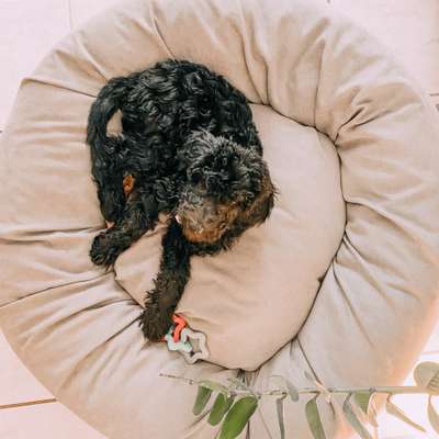 Erfahrung mit Wolkenbett-Beitrag-Bild