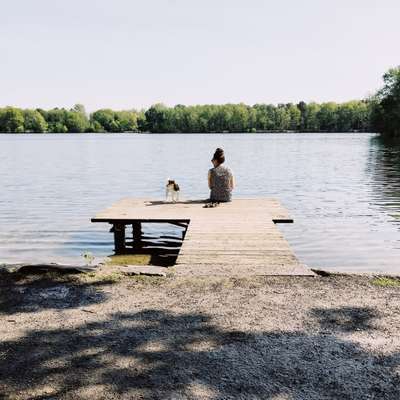 Hundestrände in NRW-Beitrag-Bild