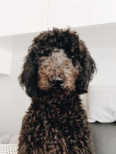 Fotochallange Nr. 57     PORTRÄT.   Beendet!!!!!!!!-Beitrag-Bild